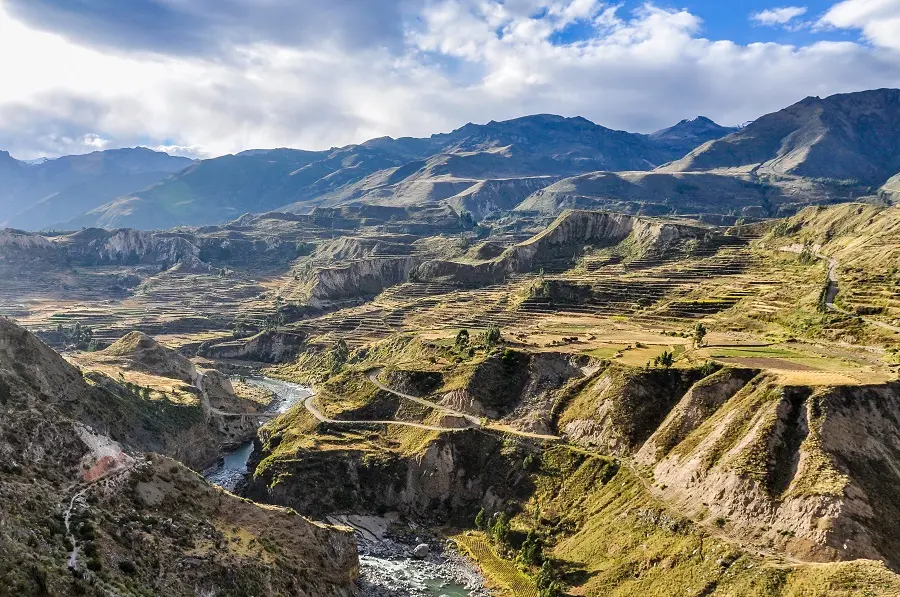 AdobeStock_98387417_.jpg