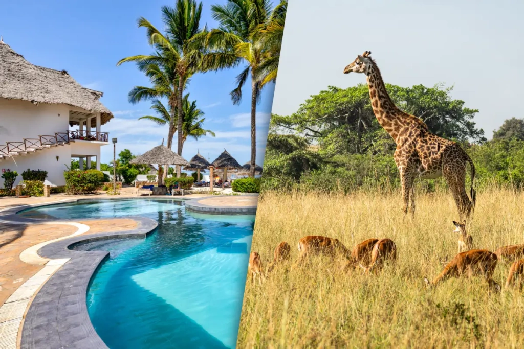 Kappa Club Waridi 4* & Selous Safari 2 nachten