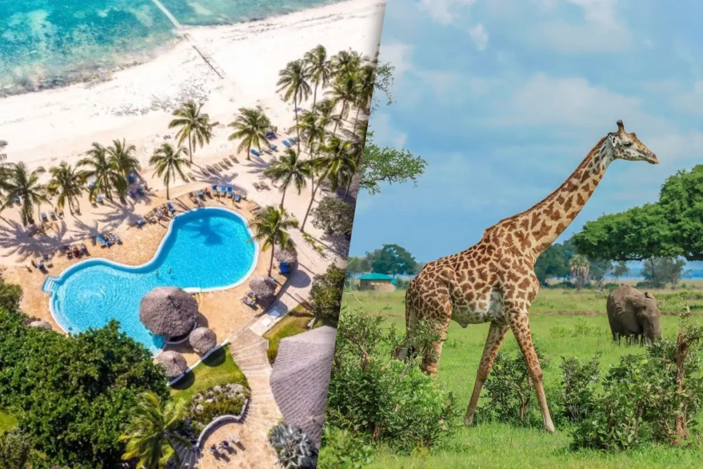 Verblijf bij Kappa Club Zanzibar 5* nl en Saadani Safaris 2 nachten