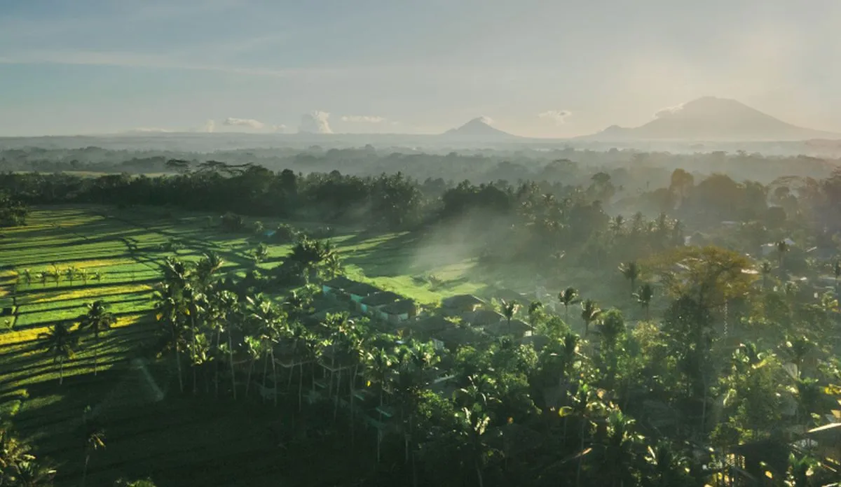 17_la_nature.jpg
