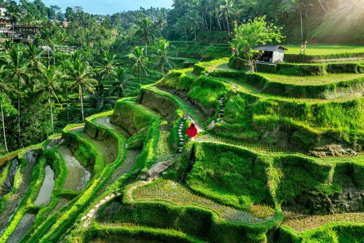 01_Tegallalang_.jpg
