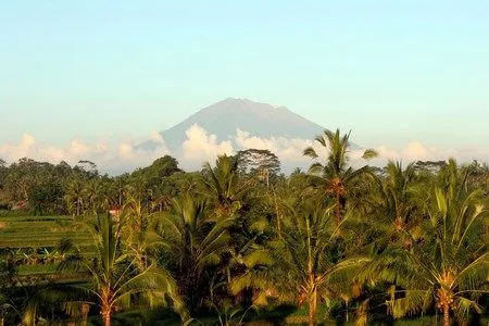 agung4.jpg