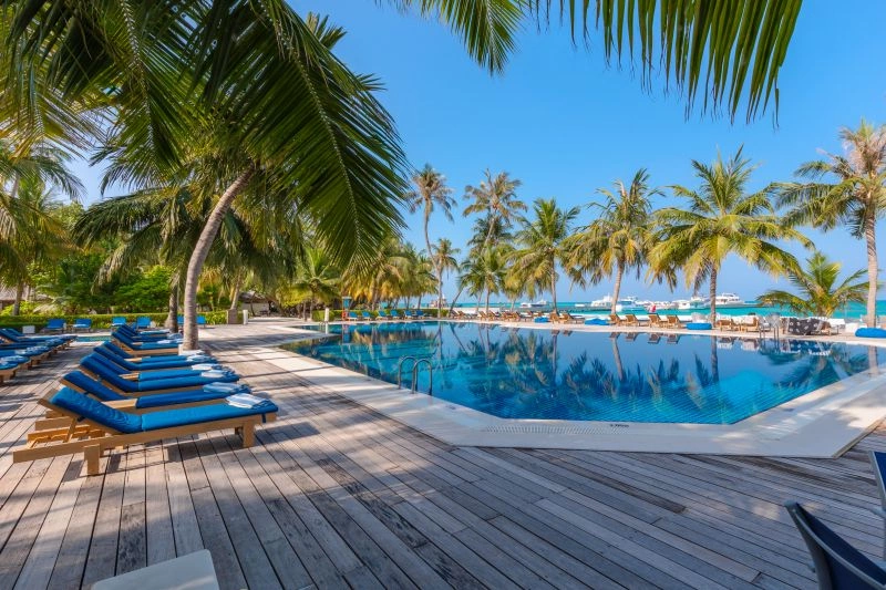 dhoni_bar_piscine.jpg