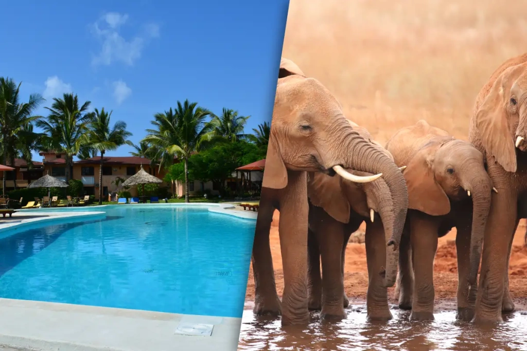 Safari Ngutuni en verblijf in Kappa Club AHG Lion Beach Resort & Spa 4*nl