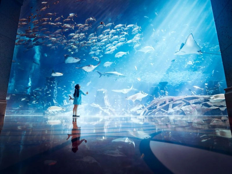 13_aquario.jpg