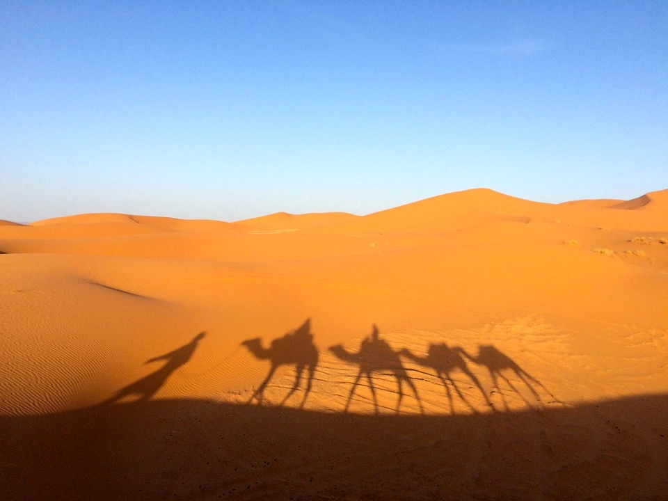 sahara-838494_960_720.jpg