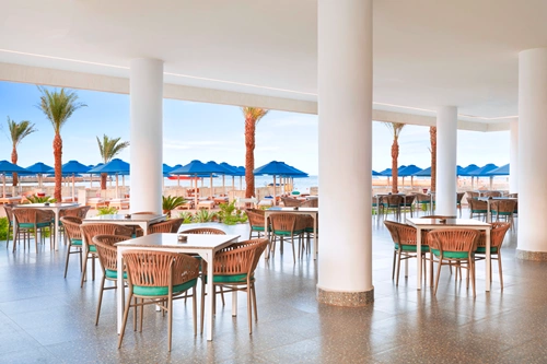 Beach_Bar_3.png