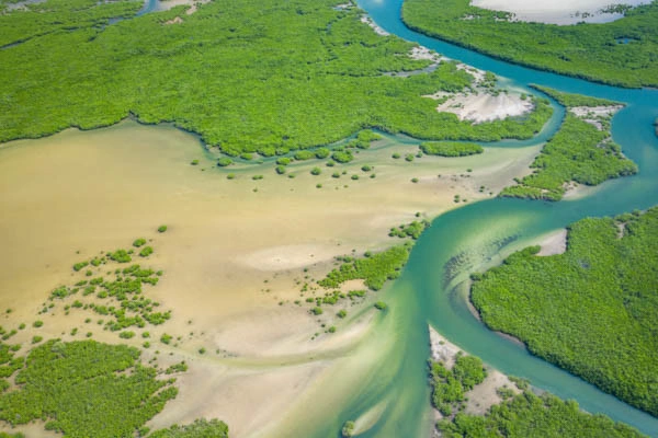 Rondreis: In het hart van Senegal en de mangrovebossen ***