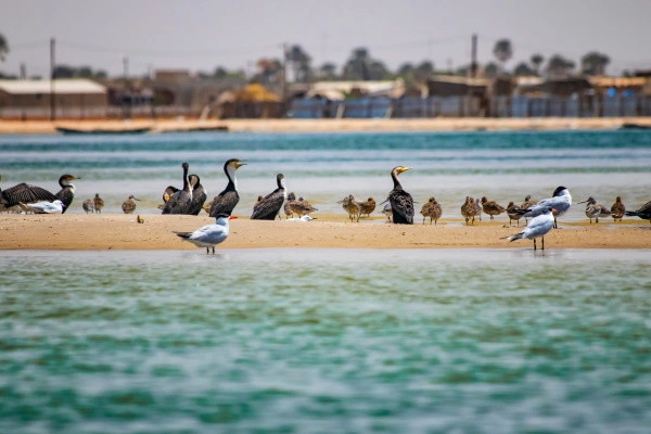 Senegal-rondreis, tussen de savanne en het palmenstrand van Framissima ****