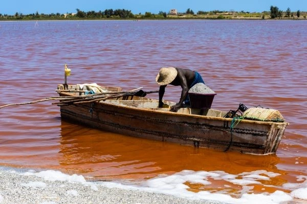 Senegal-rondreis, midden in adembenemende natuur (maximaal 6 deelnemers) ***