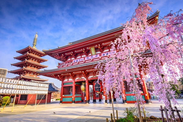 Onafhankelijke reis: Een onvergetelijke ontdekkingstocht door Japan ***