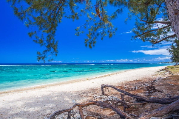 Intensieve rondreis over Réunion, overnachting in het Nautile Beach ****