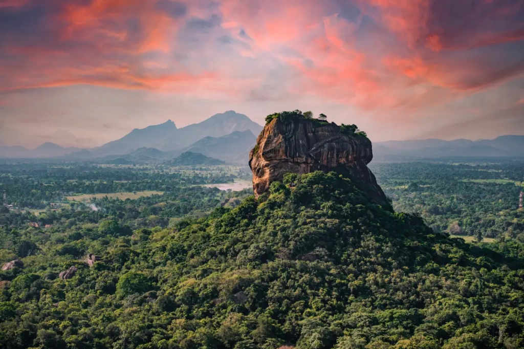 Coralia Tour: De hoogtepunten van Sri Lanka - Maximaal 30 personen.