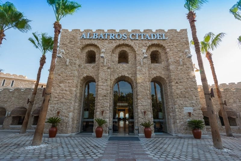 234429224.jpg