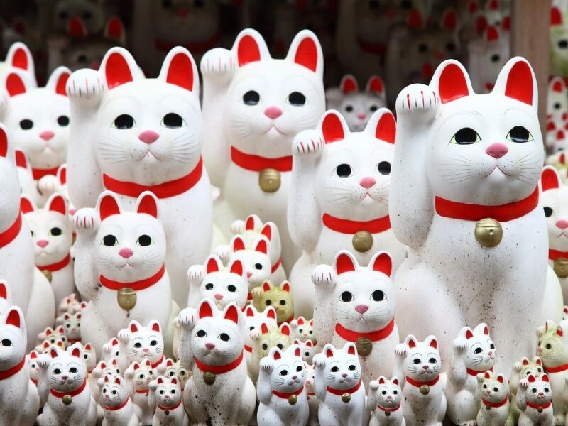 Zelfgeleide tour: De essentie van Japan en Zuid-Korea