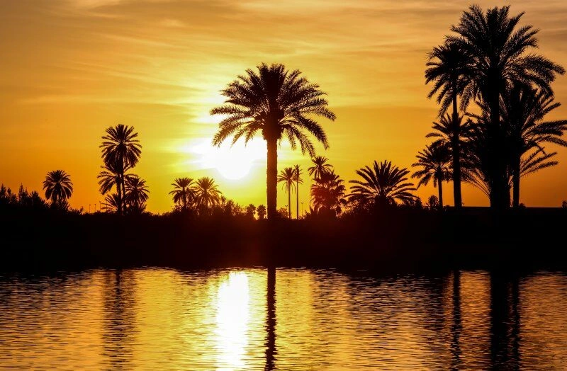 Coralia Tour: Zuid-Marokko per 4x4 met verlenging Iberostar Palmeraie Marrakech 4*
