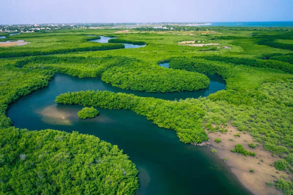 Zuid-Senegal Circuit, tussen Gambia en Casamance