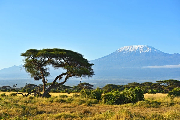 Gecombineerd reis- en hotelarrangement in het Framissima Evasion Barracuda Resort 4* met 3 overnachtingen in Tsavo Oost/West en Amboseli.