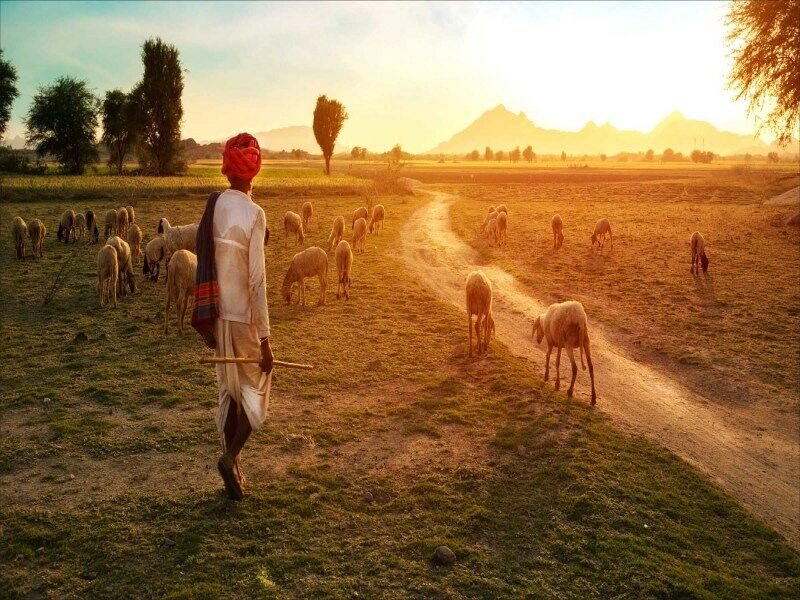 Privétour: India met duizend gezichten