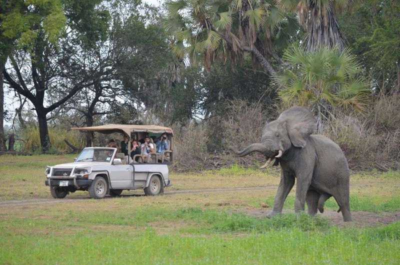 Verblijf Waridi 4* & Safari Selous 1 nacht