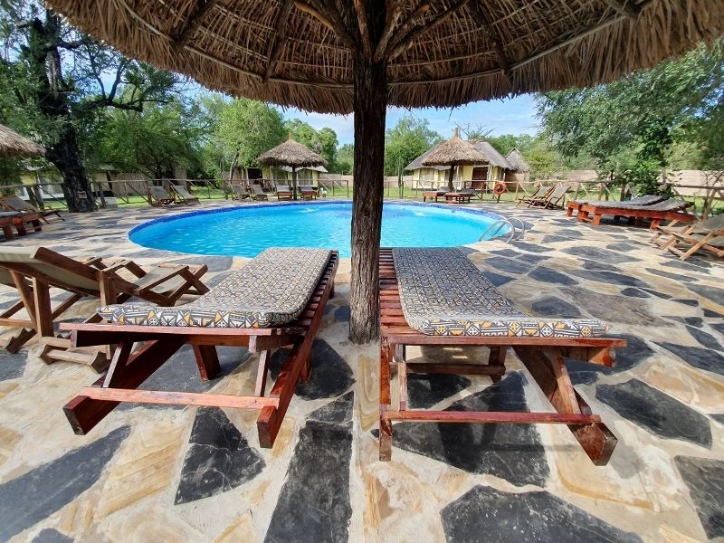 surroundings--africa-safari-selous_49651577482_o_(800x600).jpg