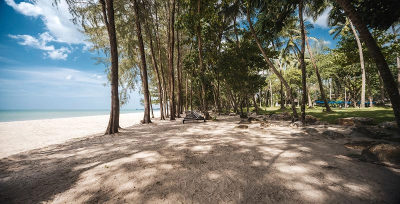 Avani_Plus_Khao_Lak_Resort_Beach_Front_Area.jpg
