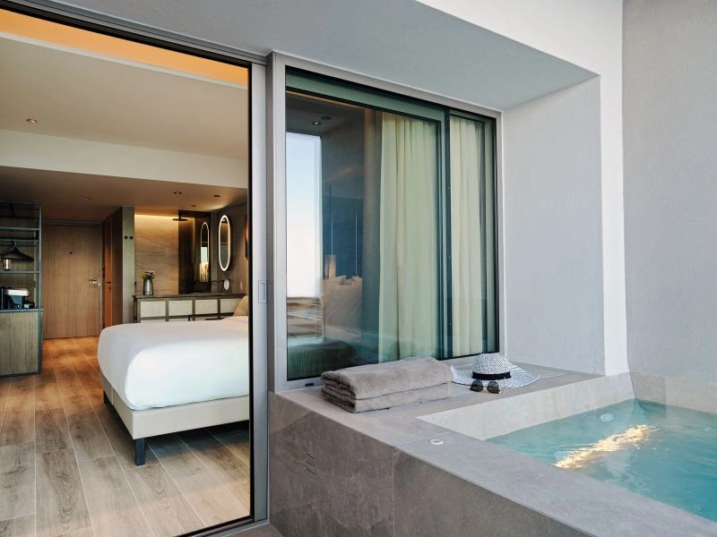 10_Deluxe_Retreat_Plunge_Pool_Atrium_View.jpg