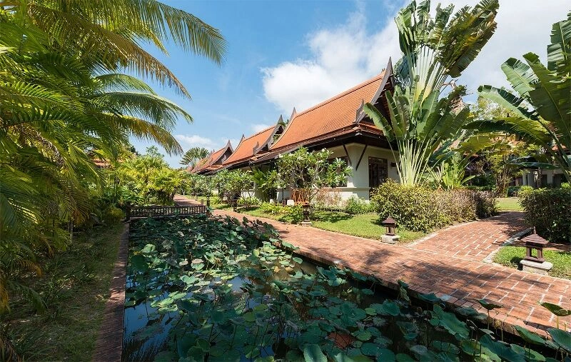 KHAOLAK_BHANDARI_-_GARDEN_(800x507).jpg