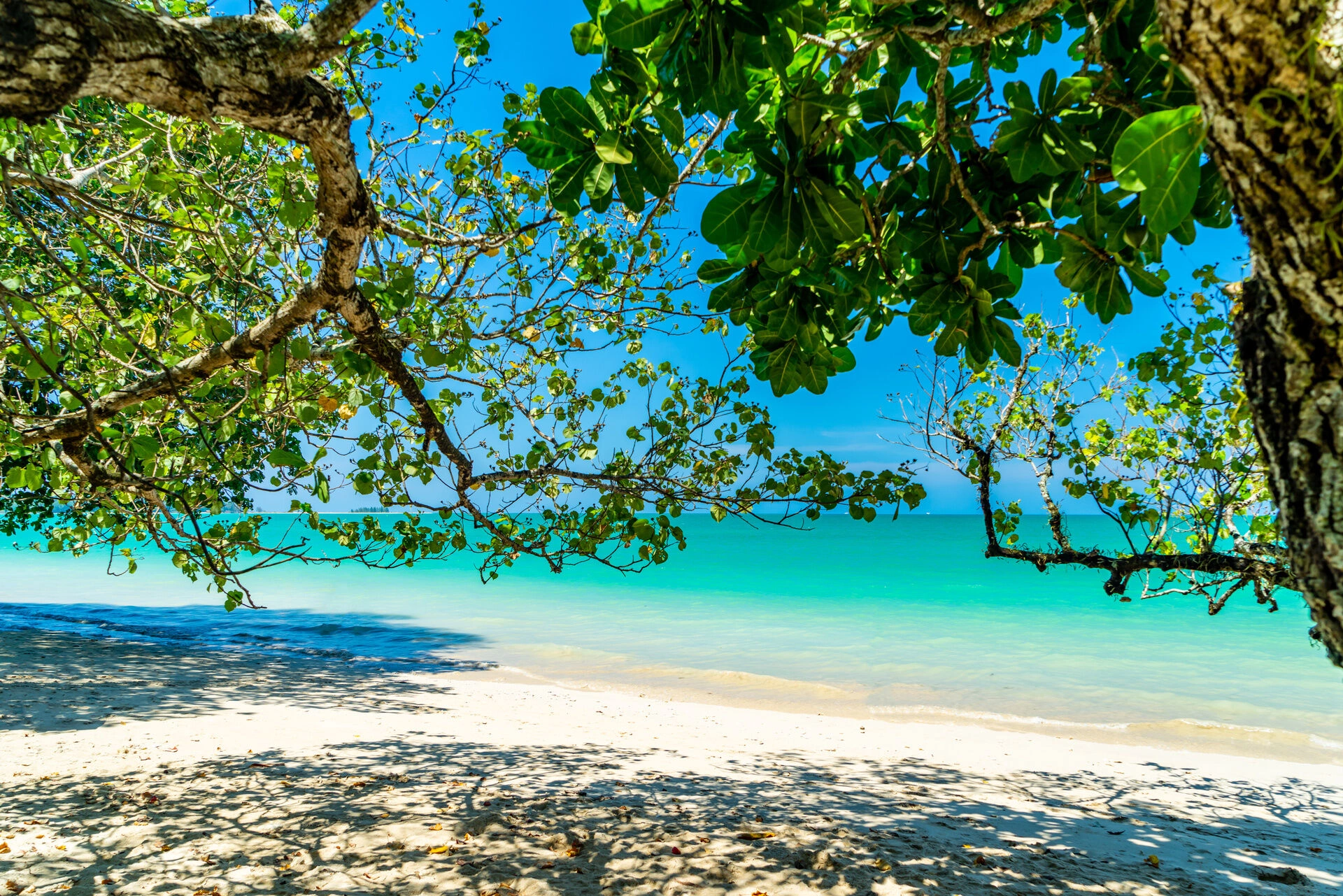 Khao_Lak_AdobeStock_263166563.jpeg