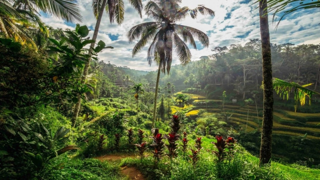 Onafhankelijke tour voor twee: Cendana Resort Ubud & Respati Hotel Sanur - 10 nachten