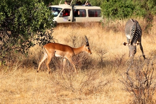 Reis- en hotelarrangement: Visiwa Beach Resort 5* met 1 overnachting in Tsavo Oost