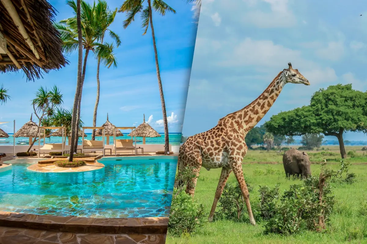 Sejour_Kappa_Club_Dreams_Bay_Boutique_Hotel_4_et_Safari_Saadani_1_nuit.webp