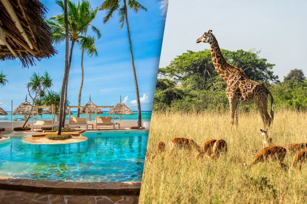 Verblijf 1 nacht in het Kappa Club Dreams Bay Boutique Hotel 4* & Selous Safari