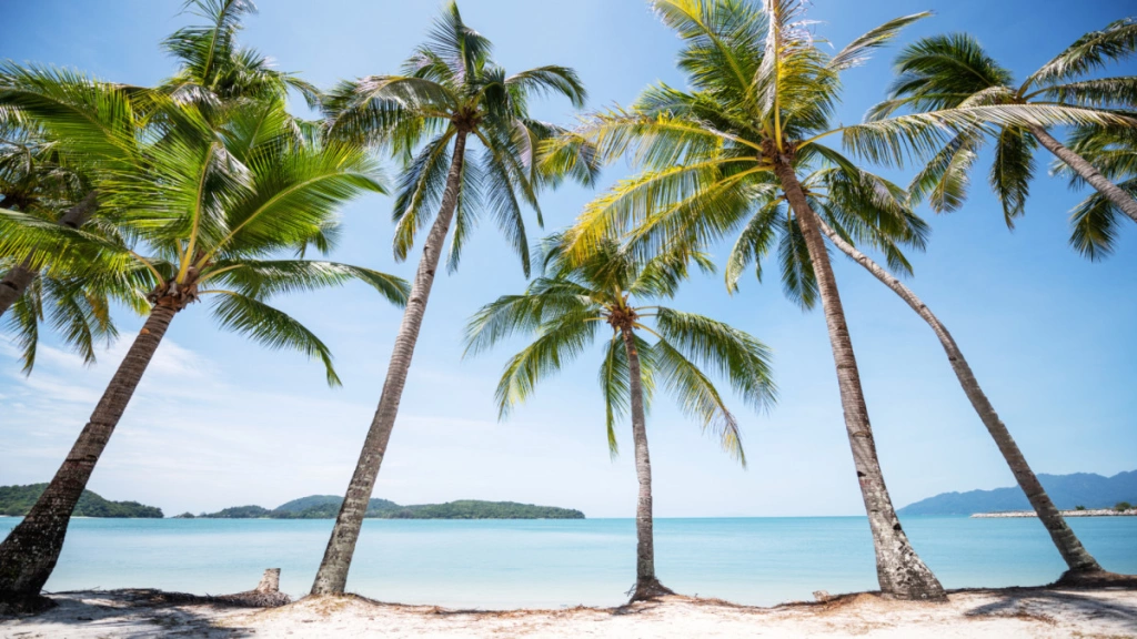 Zelfgeleide tour Duo Oasia Suite Kuala Lumpur & Mercure Langkawi in 12 nachten