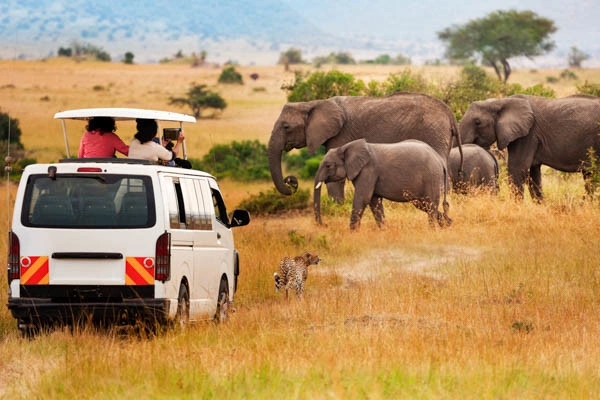 Gecombineerde tour en hotelverblijf in het Framissima Evasion Royal Mandarin Hotel & Resort 5* met 2 nachten in het Selous Game Reserve.