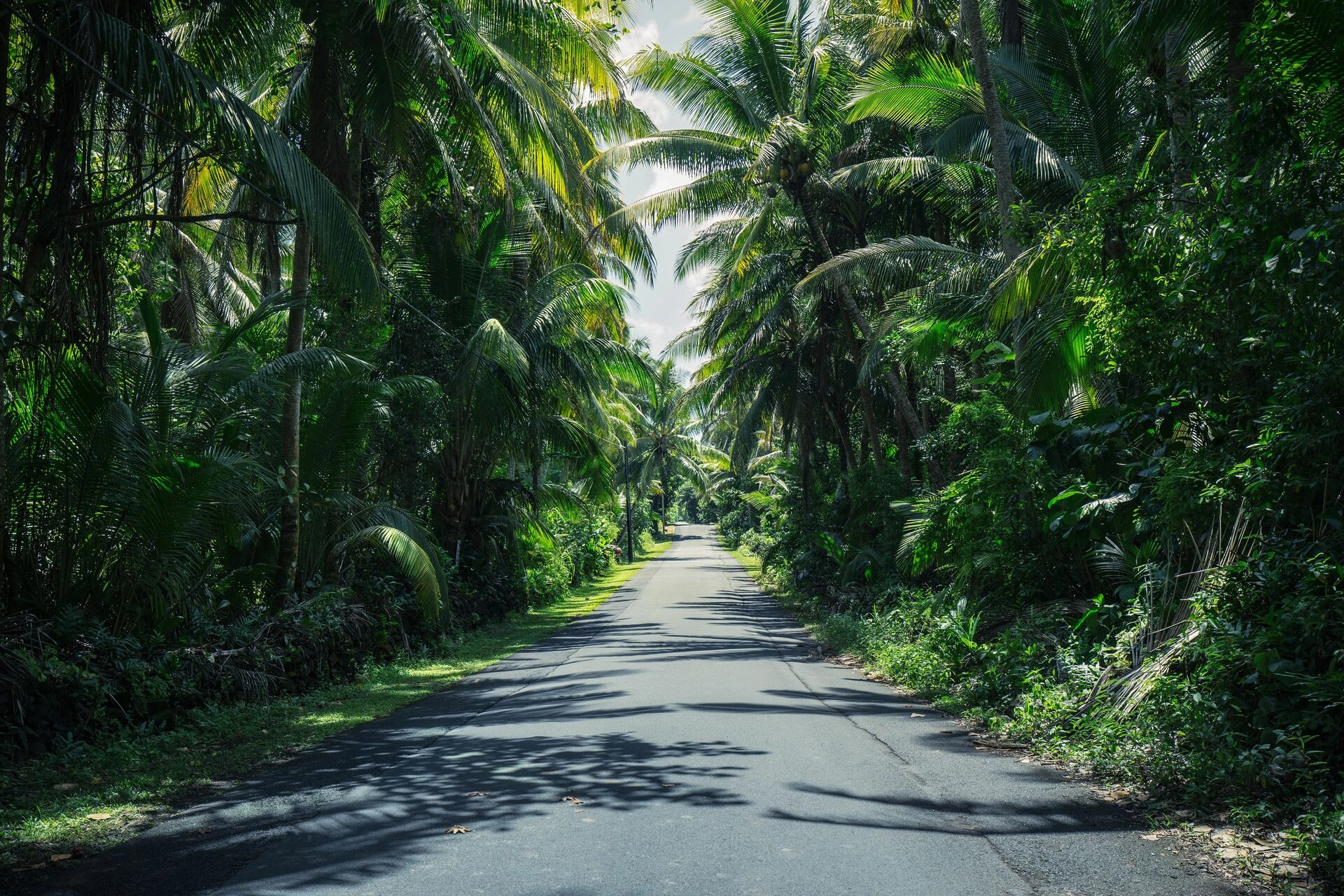 12_Hana_Highway.jpg