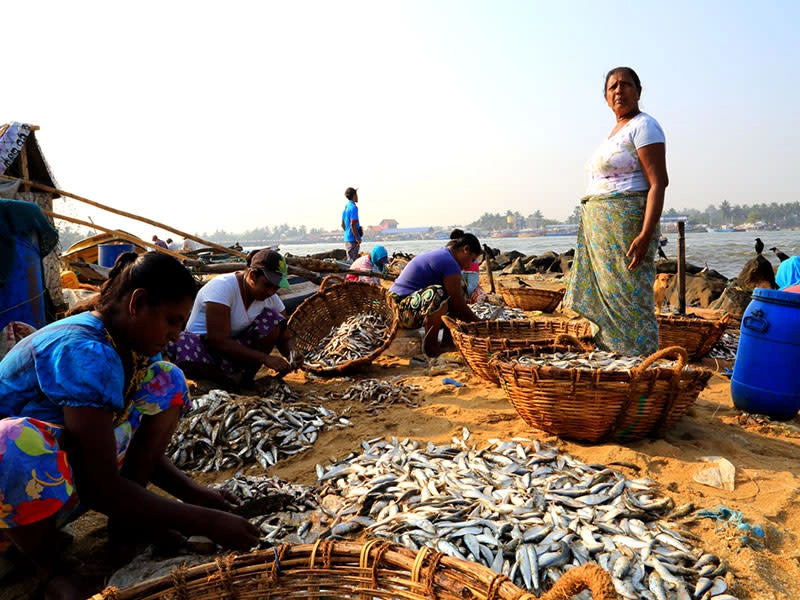 Rondreis door Sri Lanka: Het Smaragdeiland - Van Colombo naar Colombo