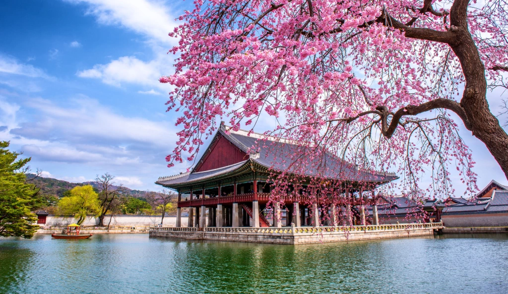 Zelfgeleide tour - Zuid-Korea ontdekken - Van Seoul naar Seoul
