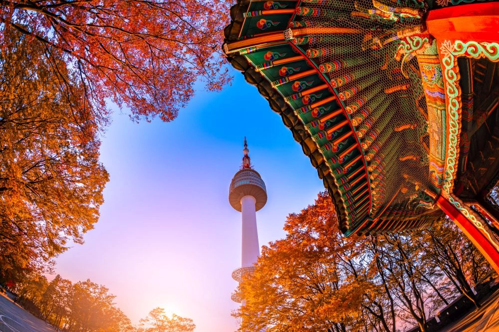 03_N_Seoul_Tower.jpg