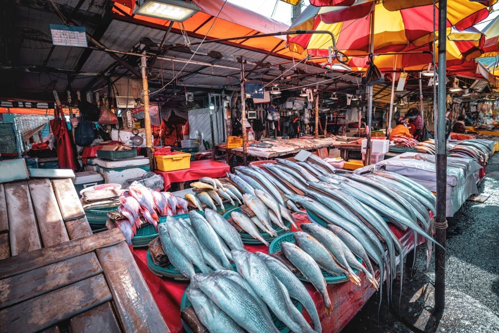 Marche_aux_poissons_de_Jagalchi_-_Busan.jpg