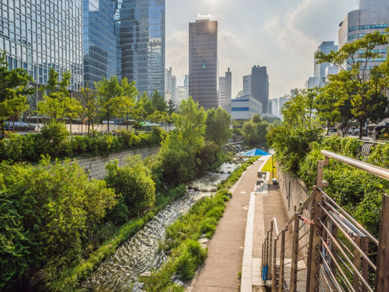 Individuele rondreis - Zuid-Korea ontdekken - 13 nachten - Van Seoul naar Seoul
