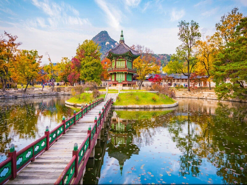 Rondreis door Zuid-Korea en Japan - 7-daagse verlenging - Van Seoul naar Tokio