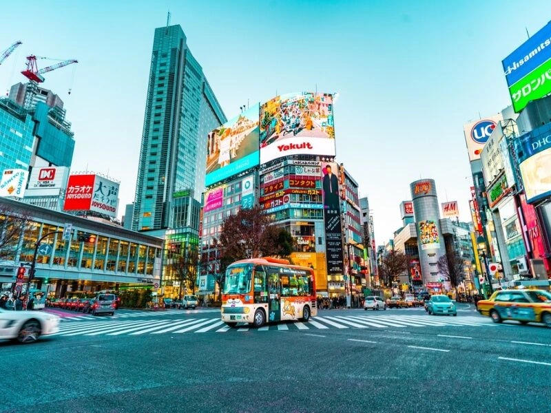 Stadsrondreis door Tokio & verblijf in een traditionele Japanse ryokan, inclusief activiteiten en 3-sterren accommodatie - Van Tokio naar Tokio