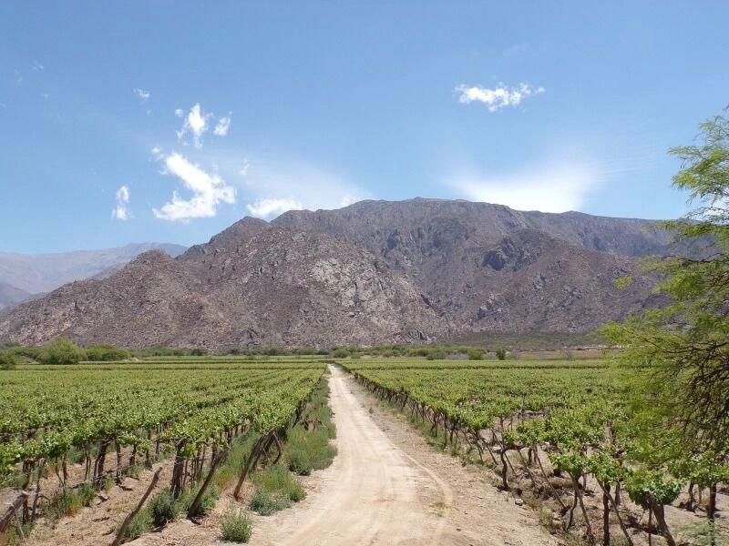 Grote ontdekkingsreis door Chili: Patagonië, Atacama en Paaseiland