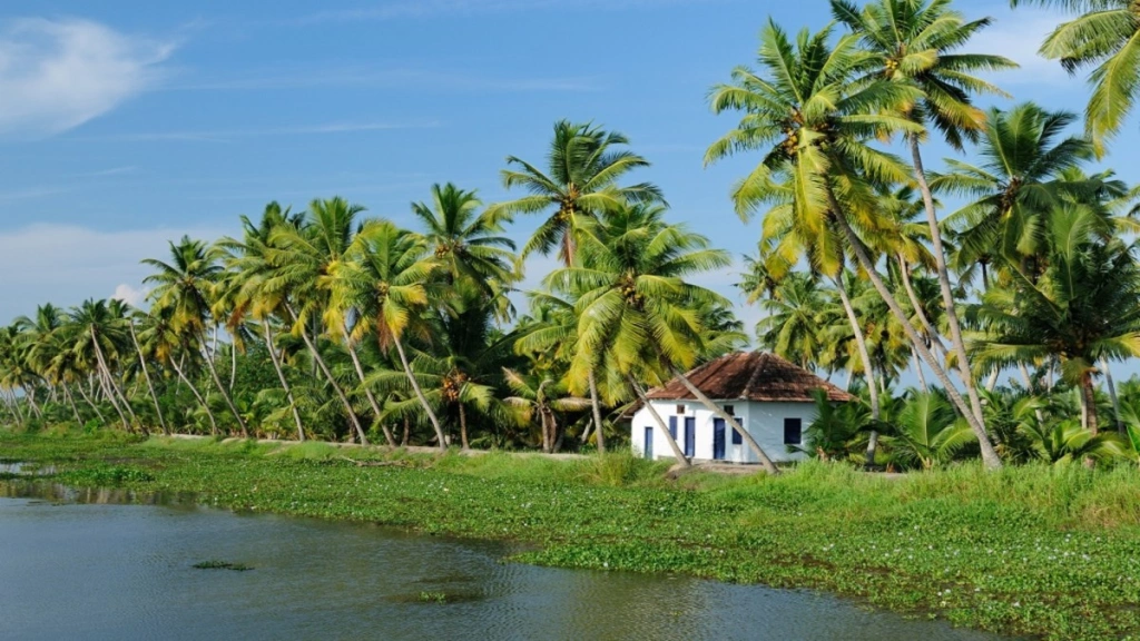 Ontdekkingsreis door Zuid-India