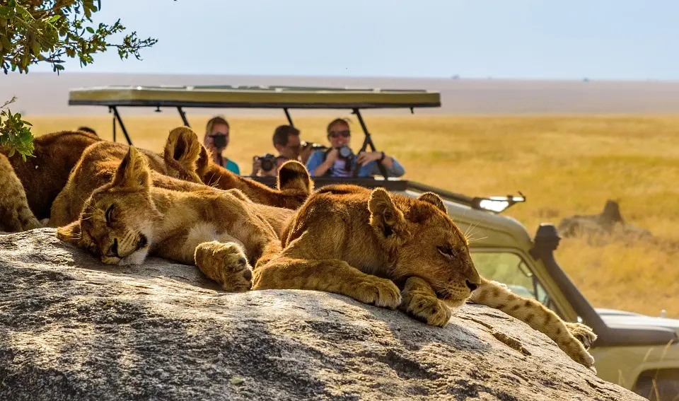 Tanzania anders - 13D/12N