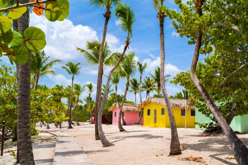 Dominicaanse ontdekkingsreis vanuit het Emotions By Hodelpa Juan Dolio 4*sup Hotel
