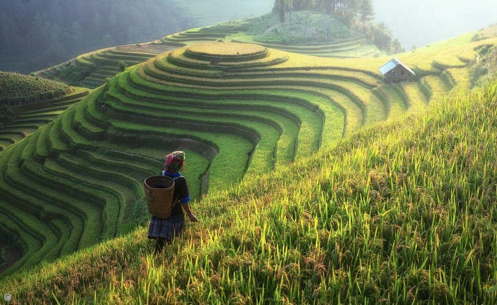 2026/2027 - Vietnam, individuele reis van Noord naar Centraal-Vietnam