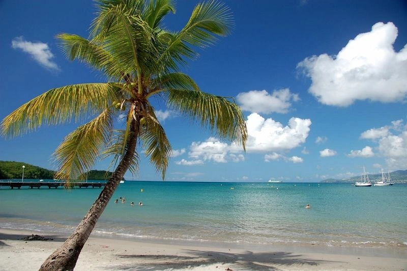 Martinique en Guadeloupe arrangement met autoverhuur - Village Créole 3* & Résidence Habitation Grande Anse 4*