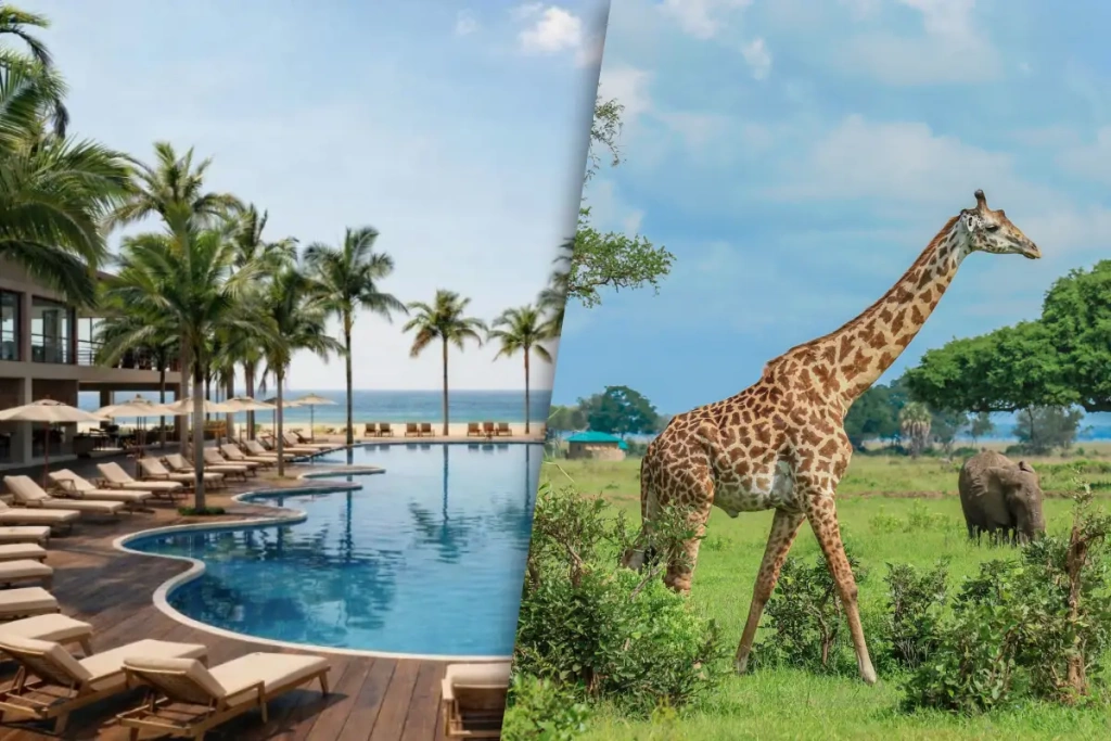 3-nachten Saadani Safari en verblijf in de 5-sterren Anaya Club Zanzibar